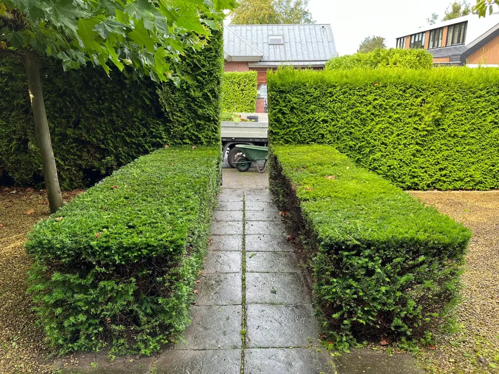Akerveen Hoveniers - Tuinonderhoud