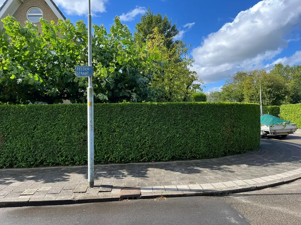 Akerveen Hoveniers - Tuinonderhoud - Periodiek snoeien van hagen